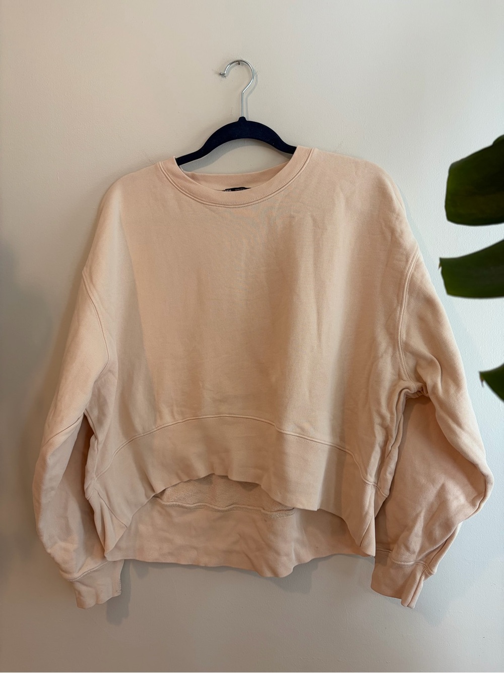 Zara Women's Light Peach 100% Cotton Cropped Crewneck Sweatshirt